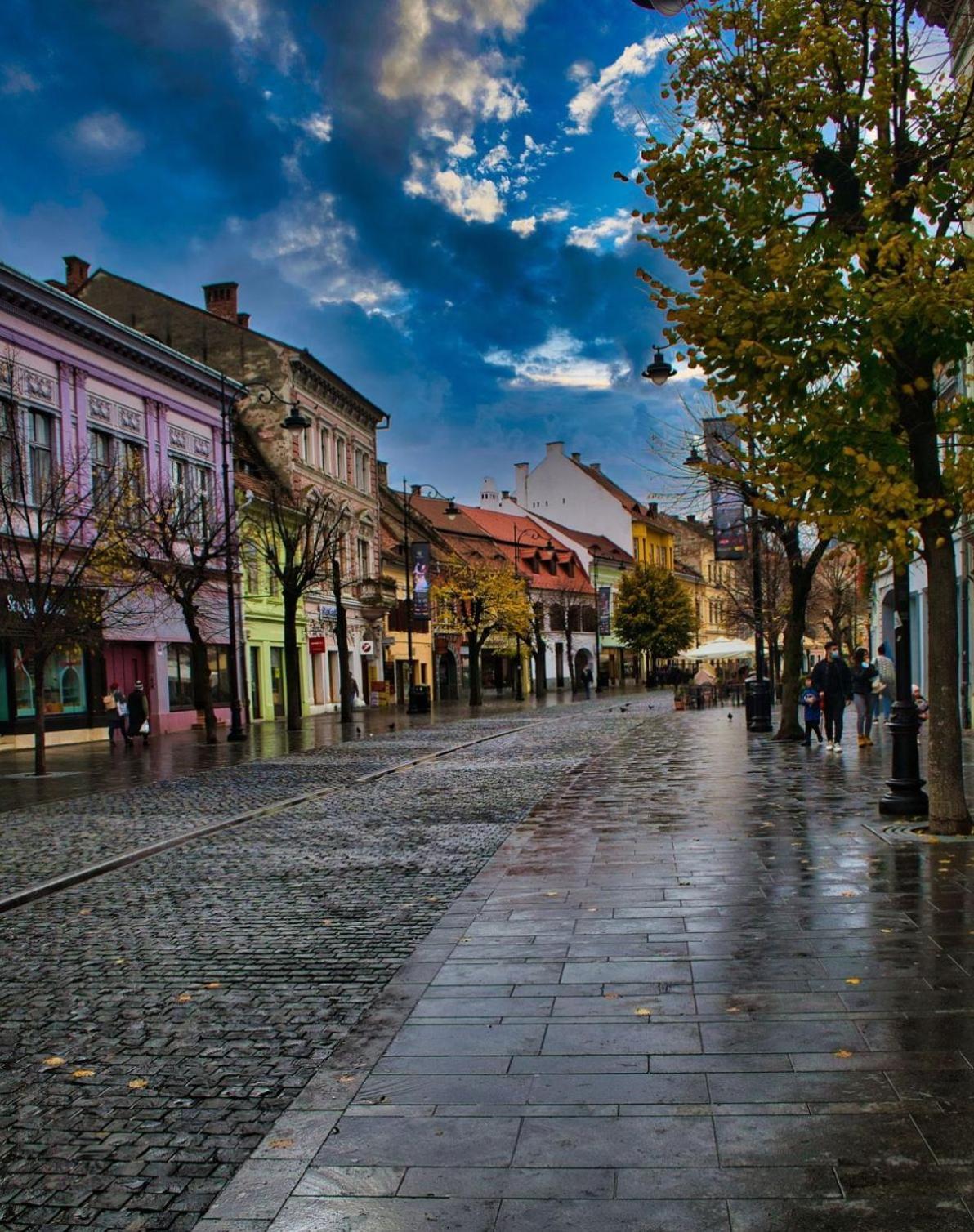 Phoenix Central Apartments Sibiu Exterior foto